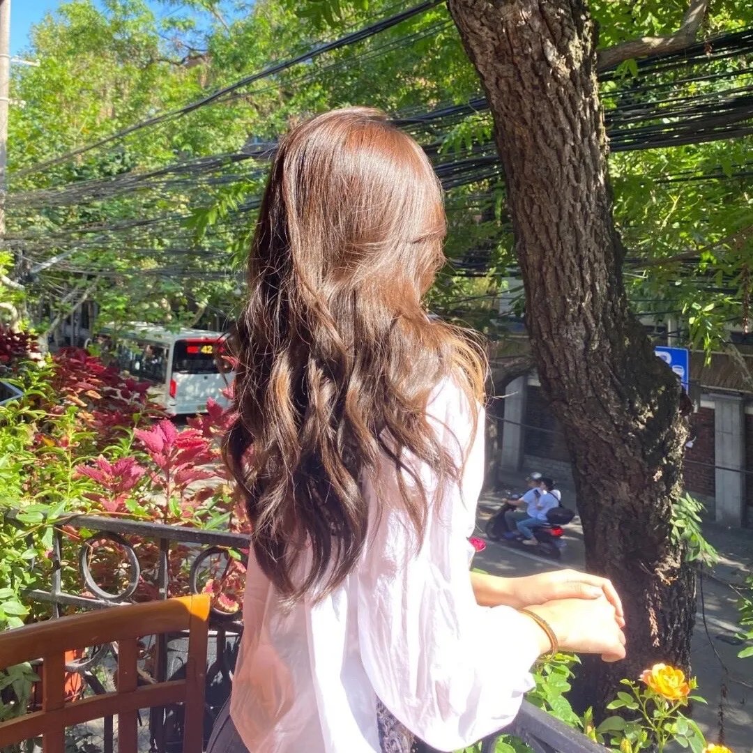 熊出没之熊心归来